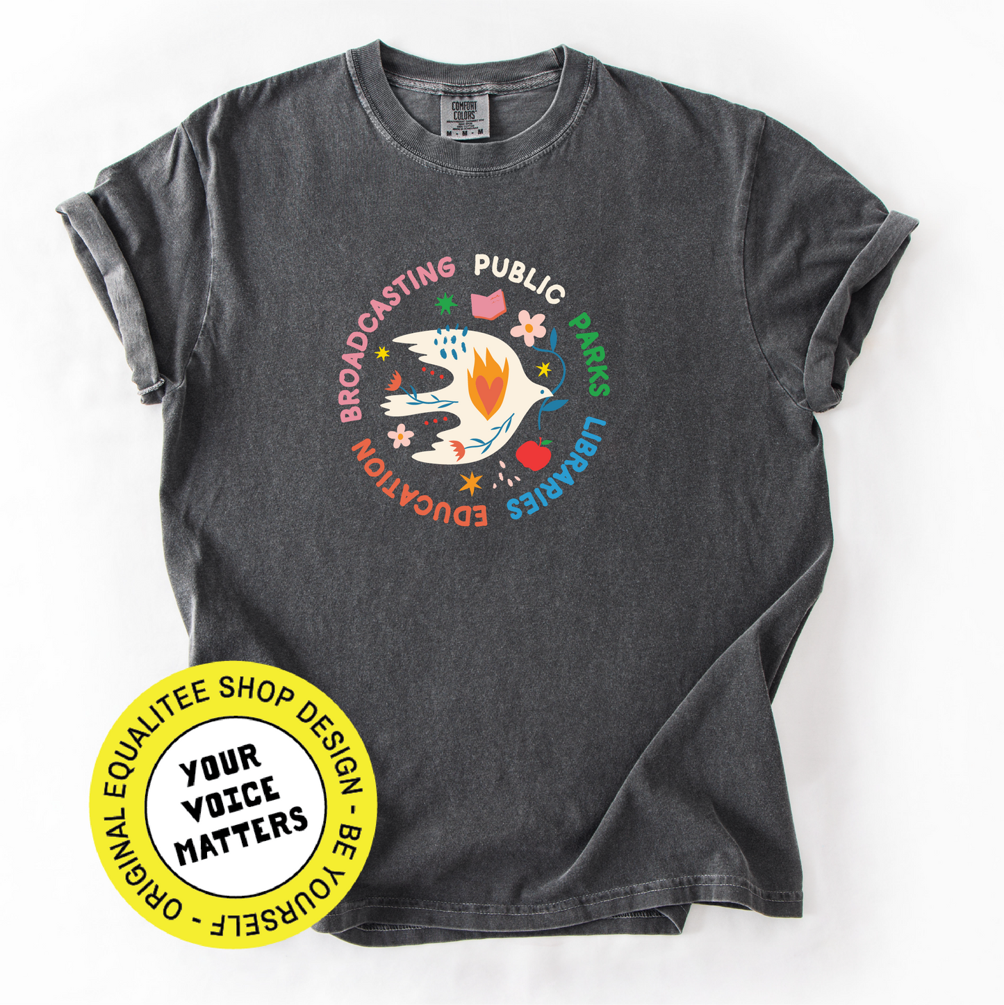 Public Parks, Libraries, Education, Broadcasting Shirt Anti Trump Tee
