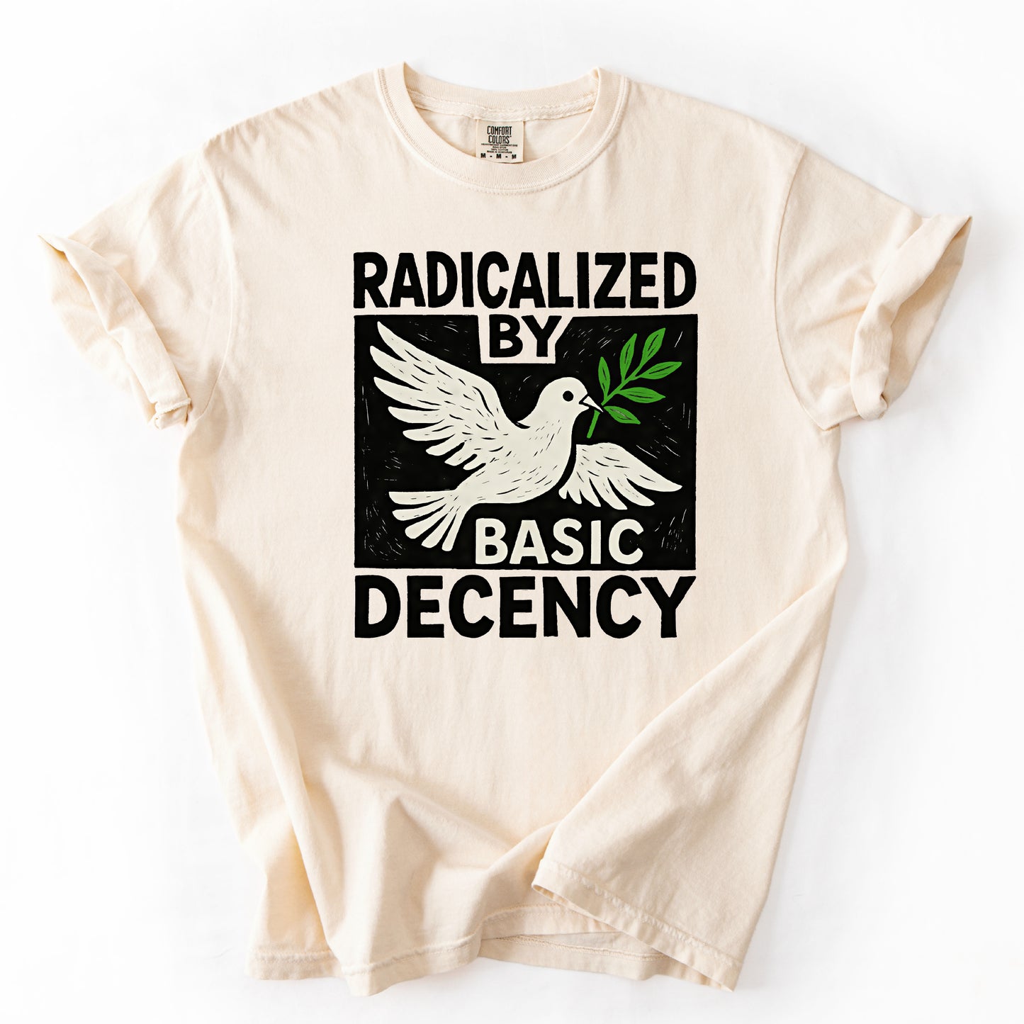 Radicalized by Basic Decency Shirt Antifa Progressive Protest Tee