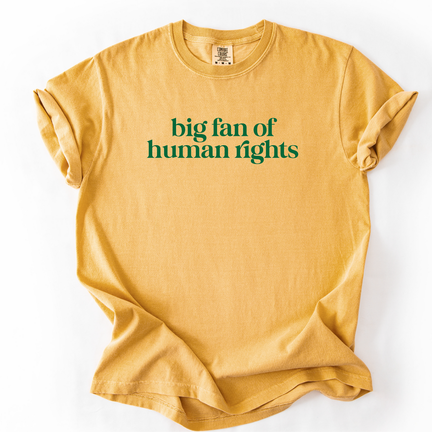Big Fan of Human Rights Shirt - Unisex Pigment Dyed Shirt