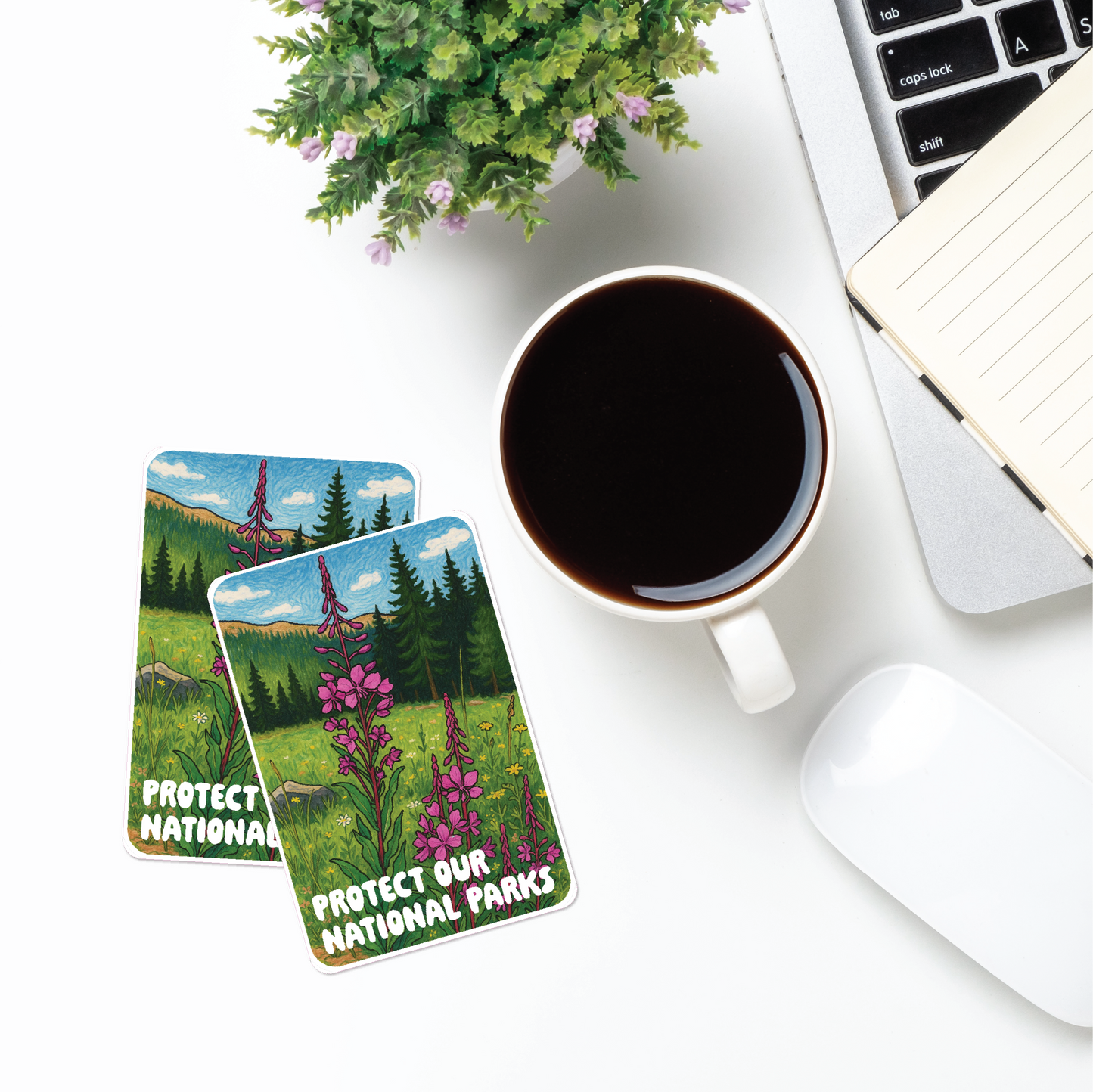 Protect Our National Parks Wildflower Sticker