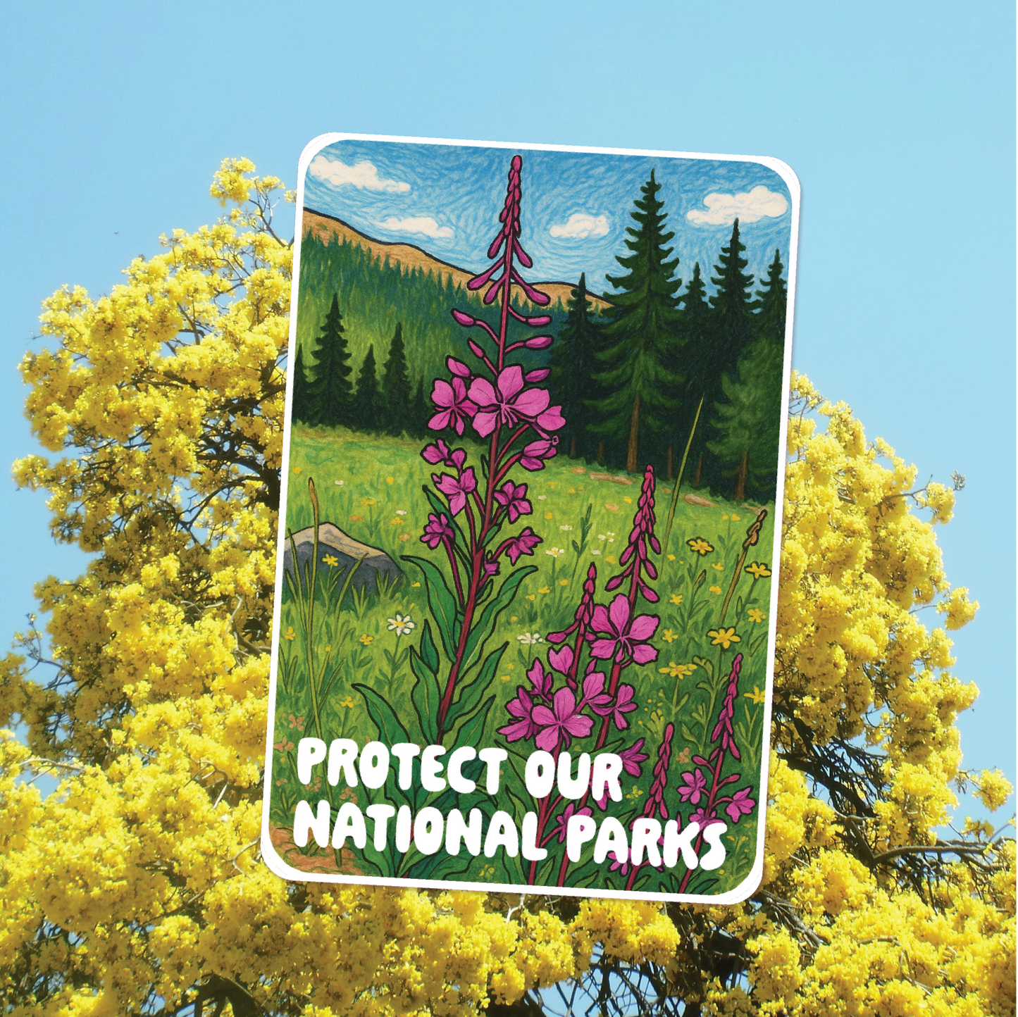 Protect Our National Parks Wildflower Sticker