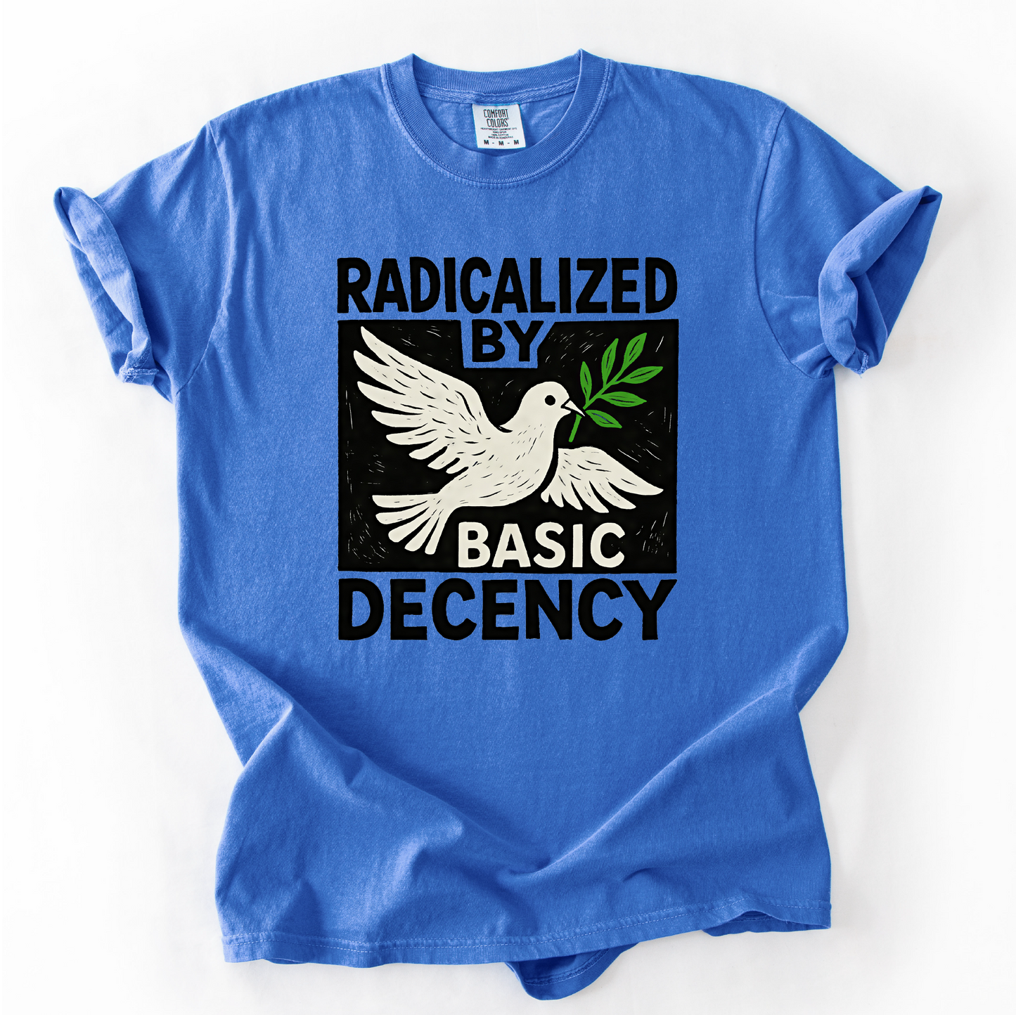 Radicalized by Basic Decency Shirt Antifa Progressive Protest Tee