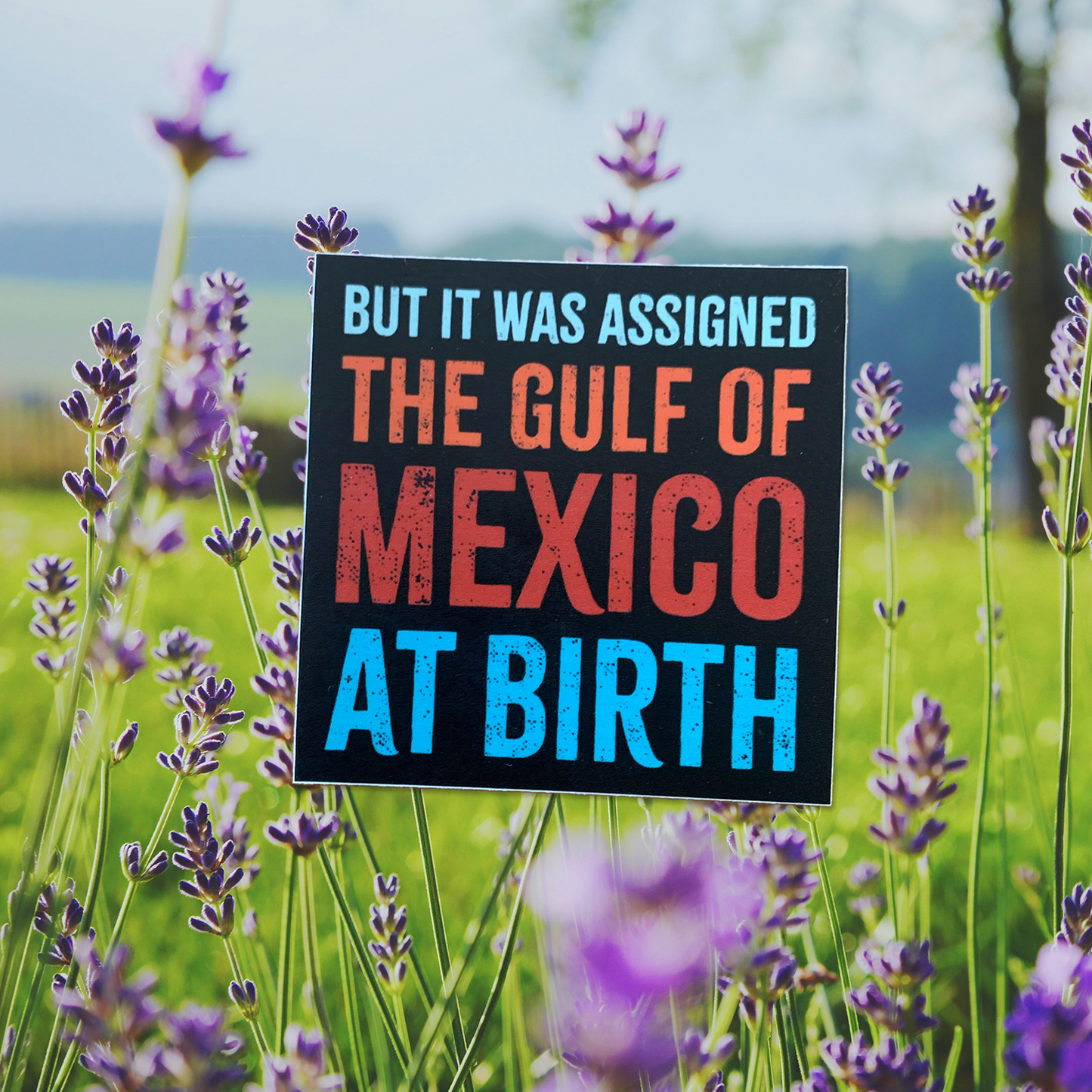 But I Was Assigned the Gulf of Mexico at Birth Sticker
