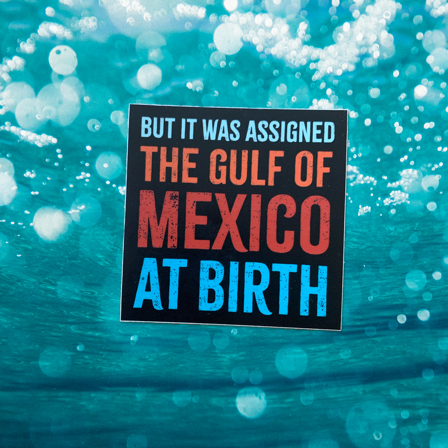 But I Was Assigned the Gulf of Mexico at Birth Sticker