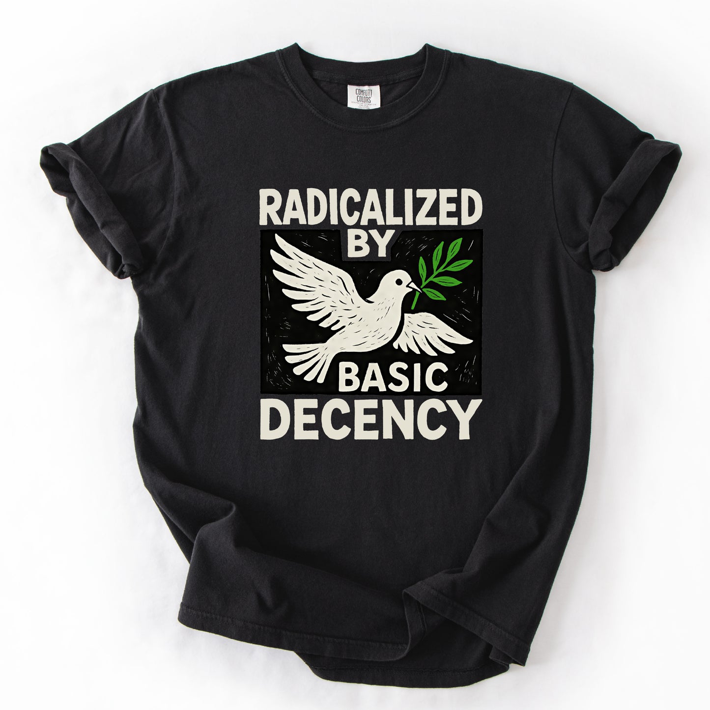 Radicalized by Basic Decency Shirt Antifa Progressive Protest Tee
