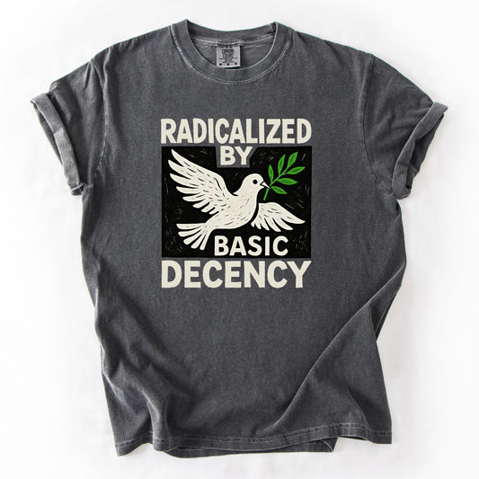 Radicalized by Basic Decency Shirt Antifa Progressive Protest Tee