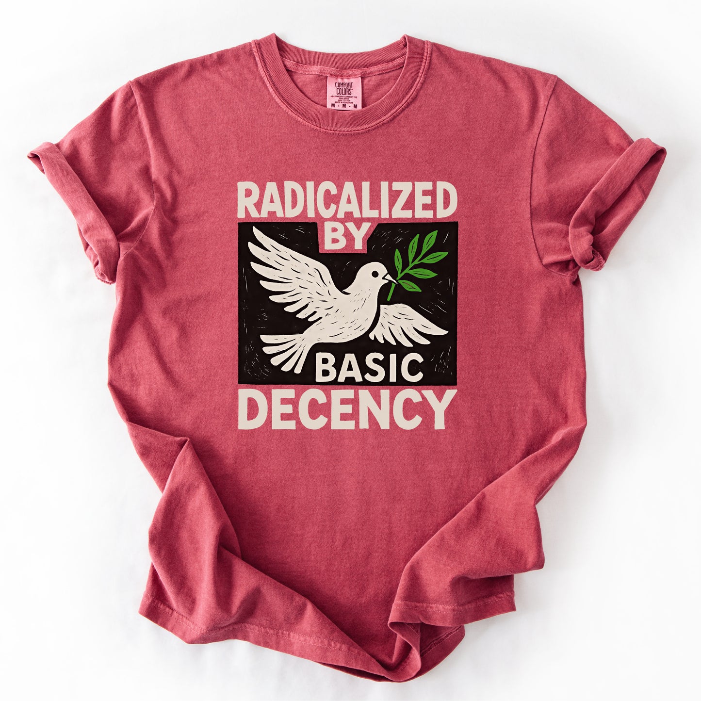 Radicalized by Basic Decency Shirt Antifa Progressive Protest Tee