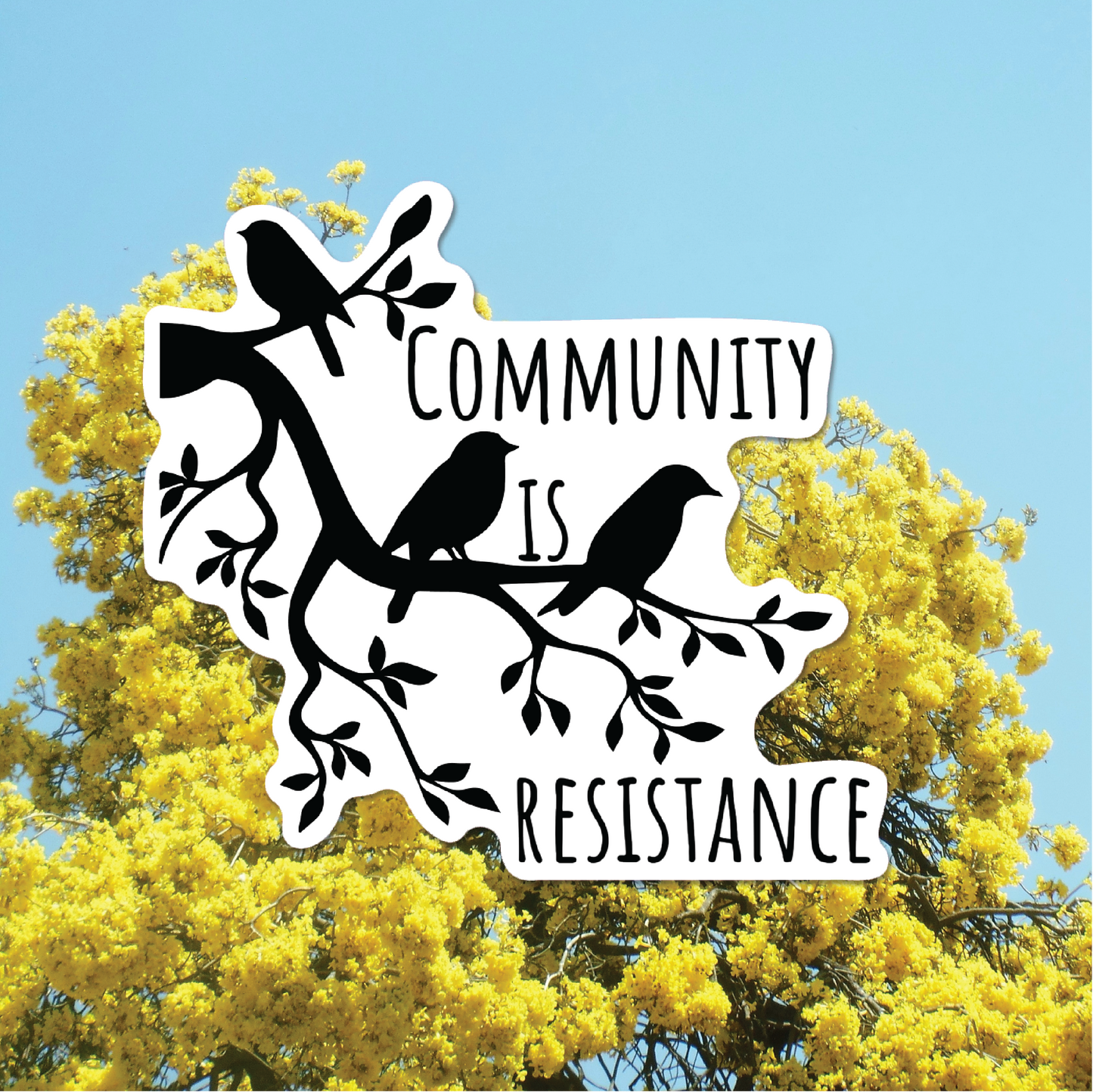 Community is Resistance Blackbird Sticker